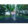 BERG Elite+ Regular GREEN + Safety Net T JARDIN
